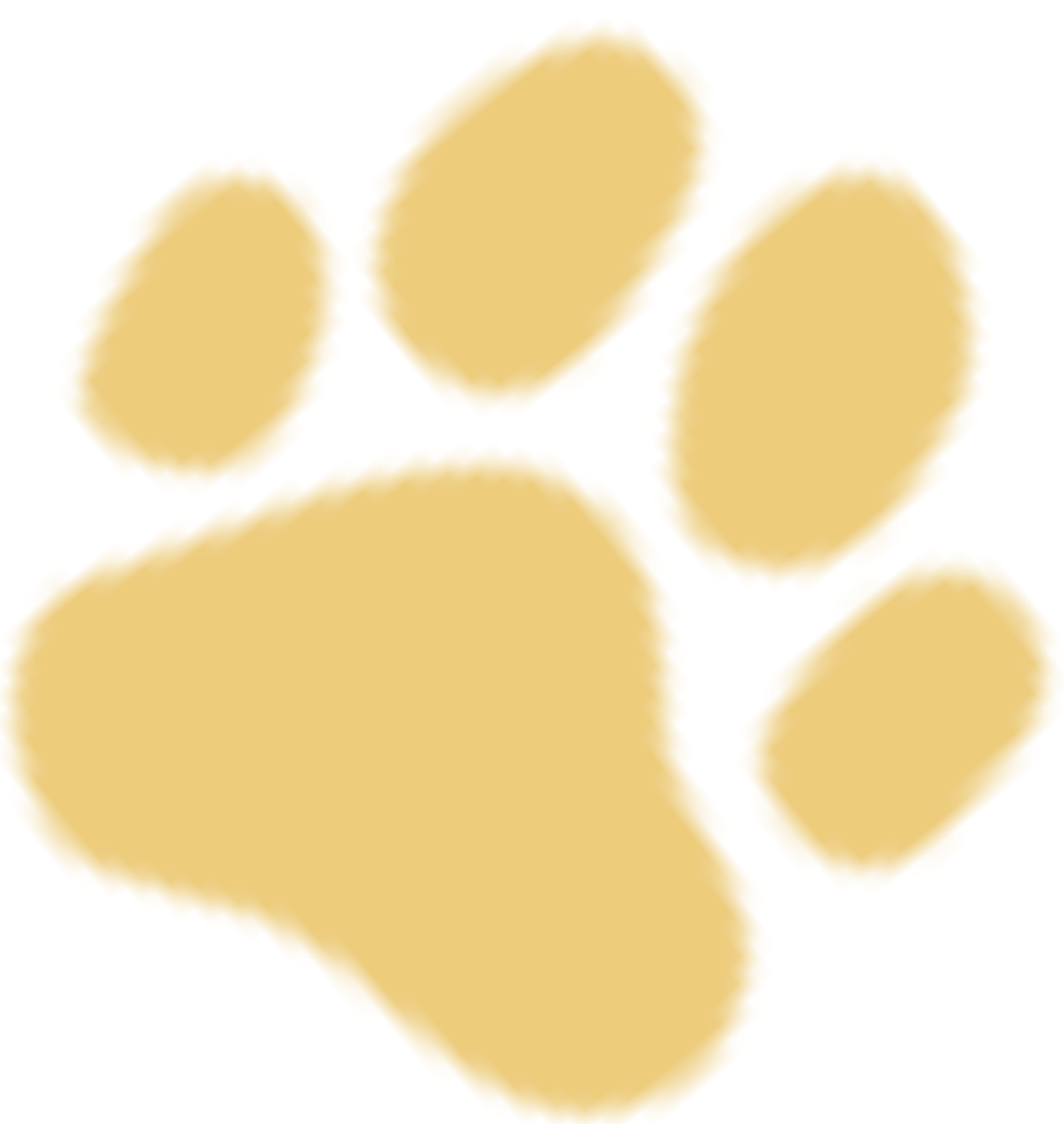 paw